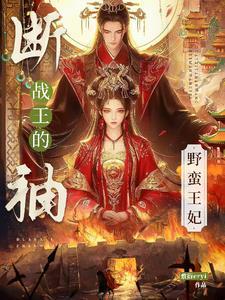 断袖王爷杀手妃