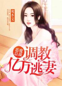 恶魔总裁的逃妻