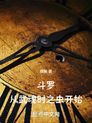 从斗罗开始打卡武魂是魂环