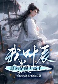 我叶辰原来是顶尖高手免费阅读