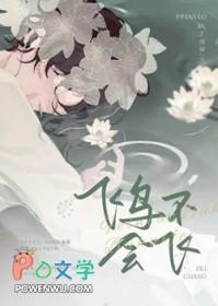 不会飞的鸟儿