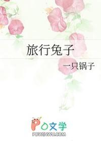 旅行者[综影视