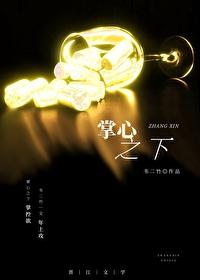 掌下之权
