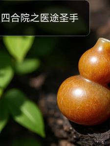 四合院神医圣手