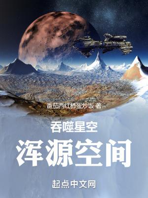 吞噬星空浑源领主是什么境界