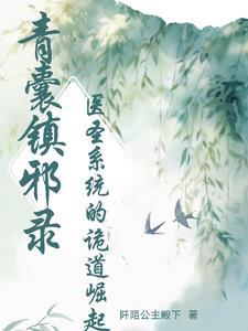 青囊医书txt