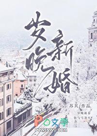 岁晚新婚在线阅读