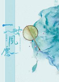 清穿之第一侧福晋免费阅读