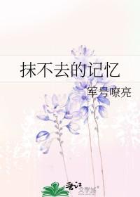 抹不去的回忆600字优秀范文