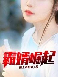 霸婿崛起笔趣