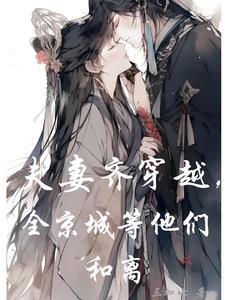 一对夫妻穿越的