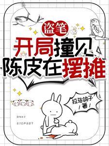 盗墓从老九门选择隐藏身份