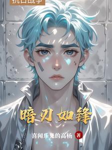 暗刃41集