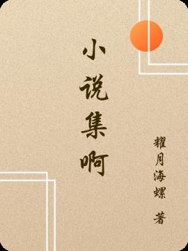 集是什么
