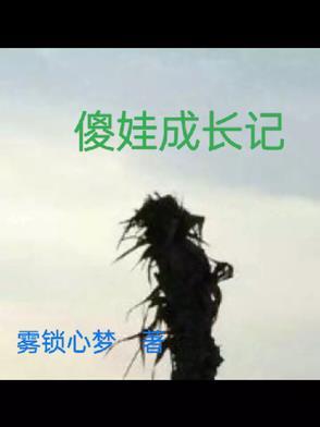 傻孩子的