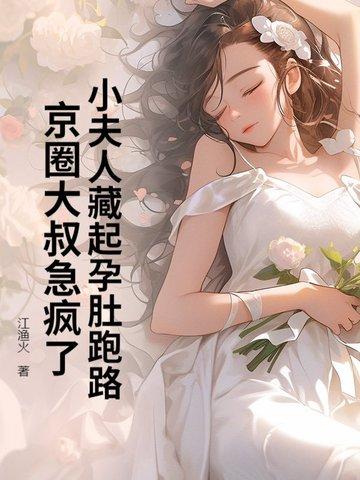 小夫人一共有多少章