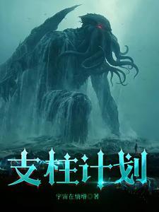 支柱计划讲了什么