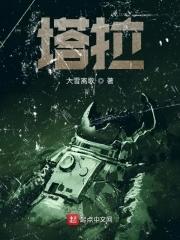 塔拉夏真墓的符号