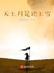 天上的月亮歌词