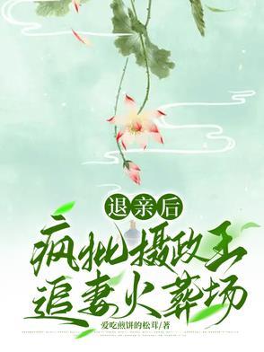 退婚后王爷他打脸了