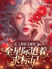 天降美女