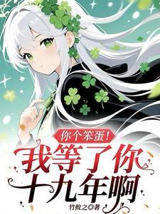 你是个笨蛋用英文怎么说