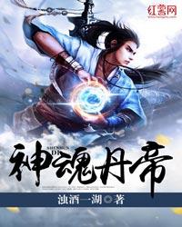 神魂丹帝等级介绍