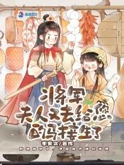 将军夫人又跑了