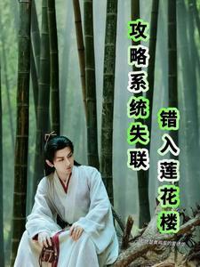 攻略系统作者