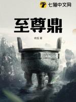 至尊鼎TXT电子书