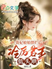 贵妃娘娘求翻牌全文免费阅读