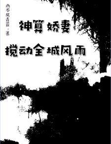 神算俏佳人txt