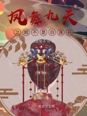 凤舞九天结局