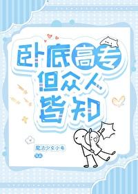 是卧底的
