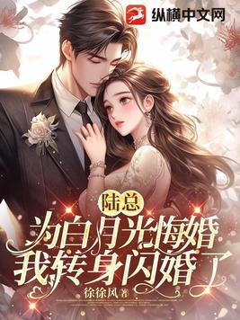 陆总霸宠替嫁妻全文免费阅读