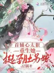 首辅夫人重生记
